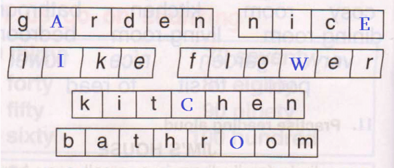 Words